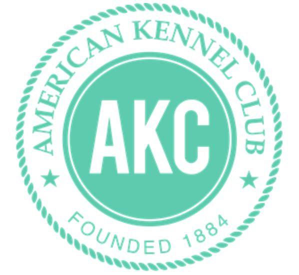 Editorial: September 13, 2024